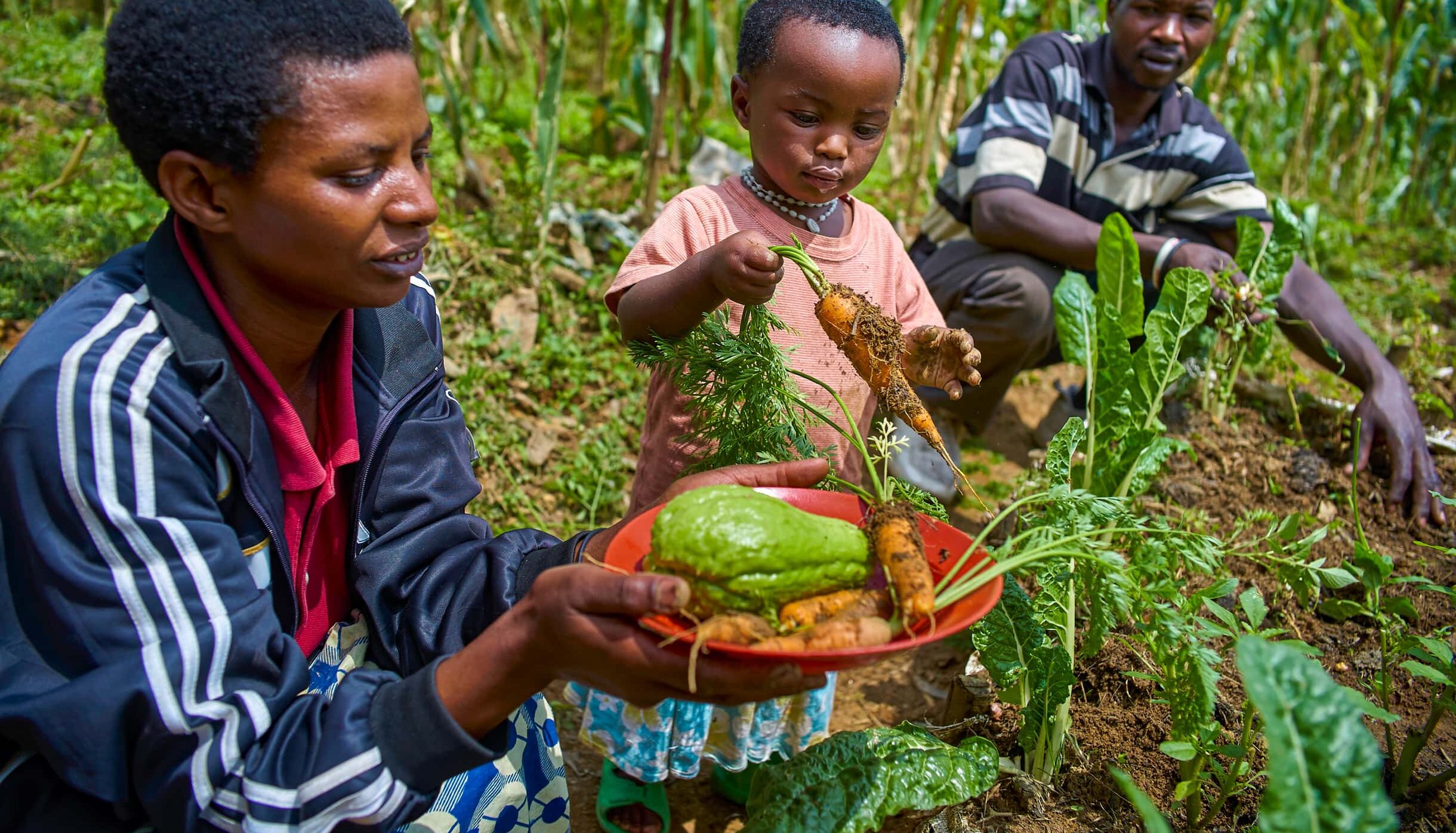 The State of Food Security and Nutrition in the World 2021 - UNICEF DATA
